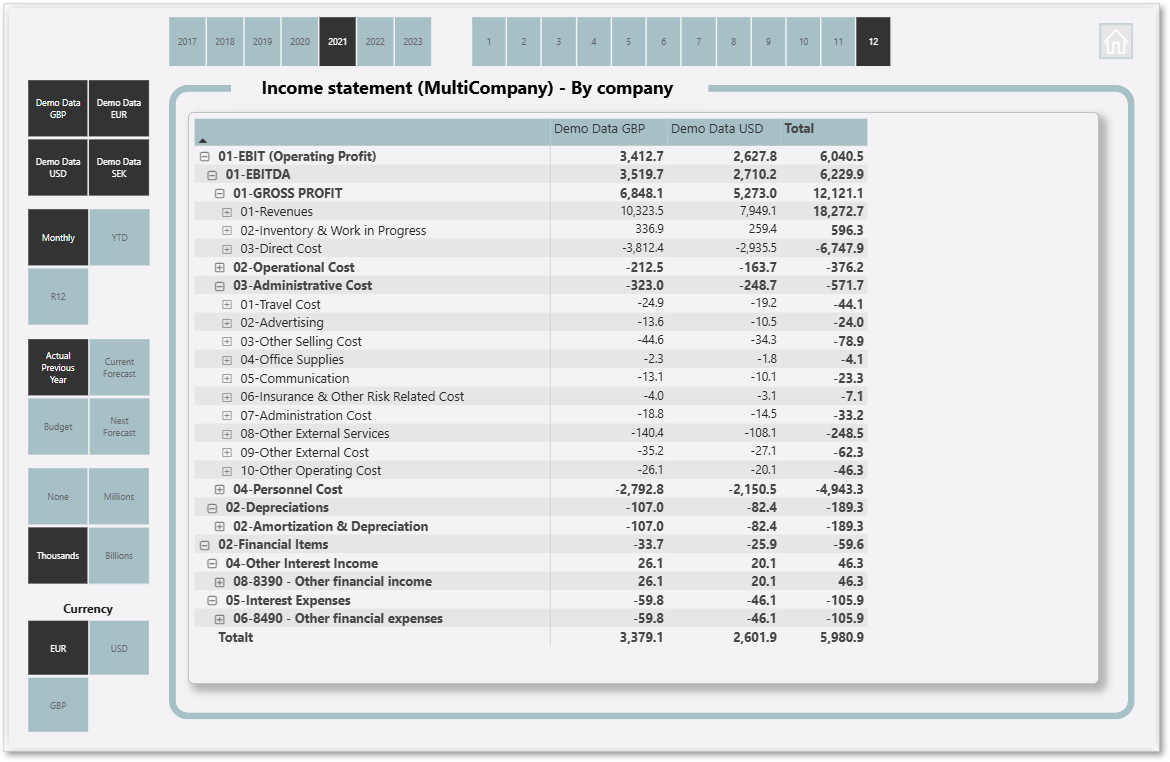 MultiCompany - By Company - Income Statement