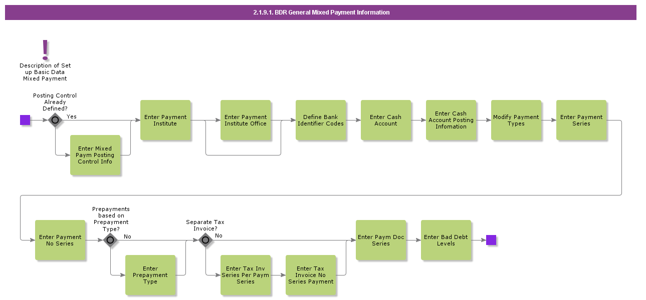 BDRGeneralMixedPaymentInformation
