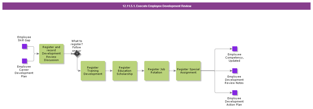 ExecuteEmployeeDevelopmentReview