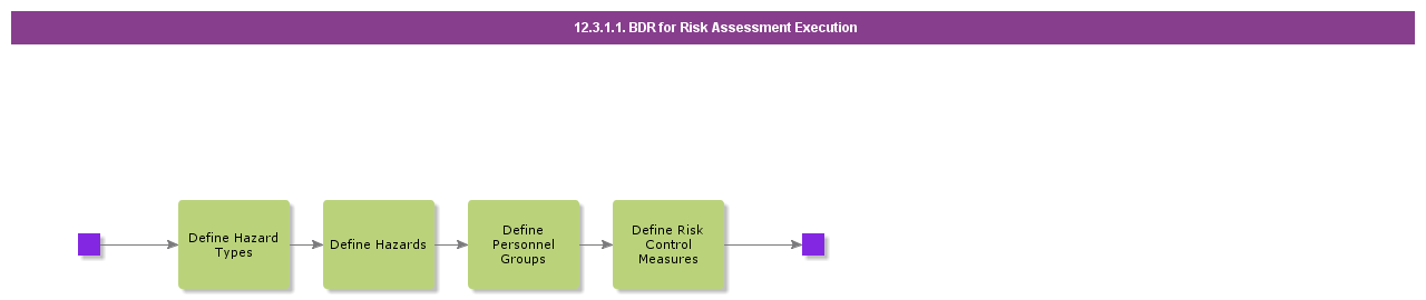 bdrforriskassessmentexecution