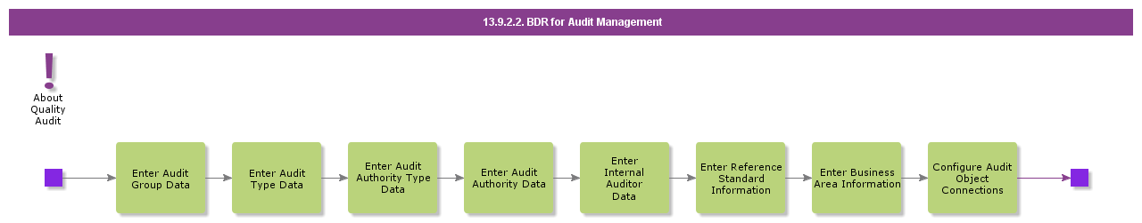 BDRforAuditManagement