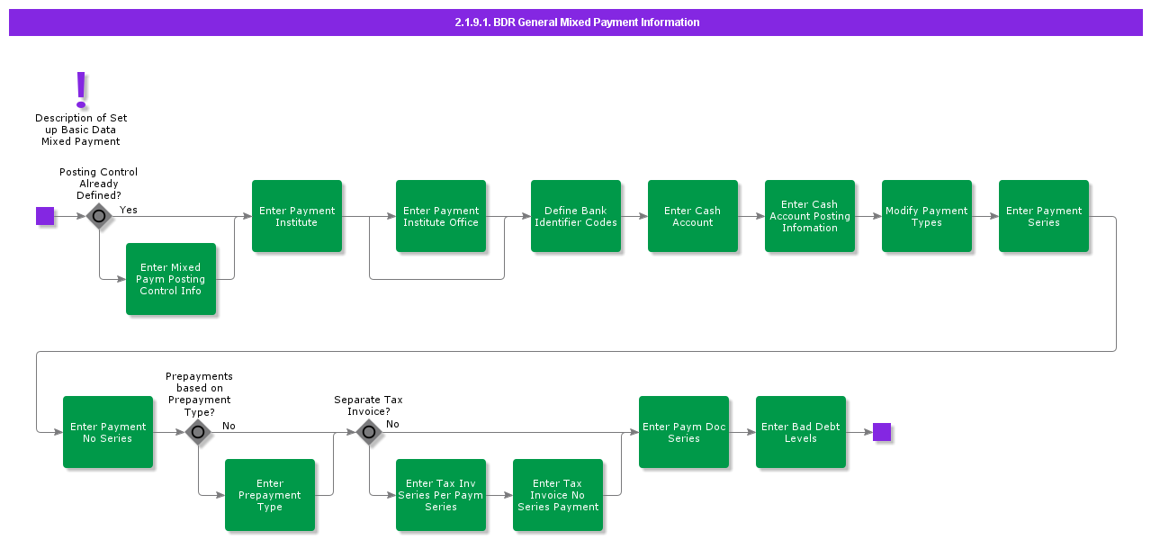 BDRGeneralMixedPaymentInformation