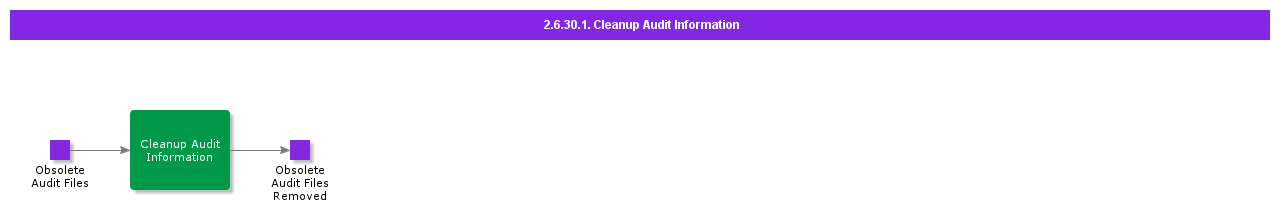 CleanupAuditInformation