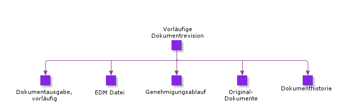 PreliminaryDocumentRevision