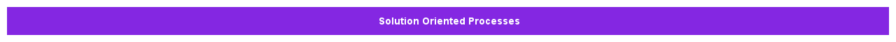 SolutionOrientedProcesses