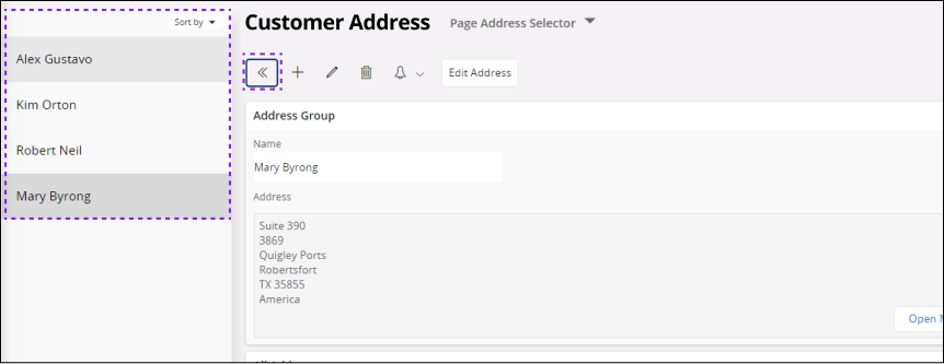 Record Selector show/hide