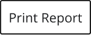 Print Report Button