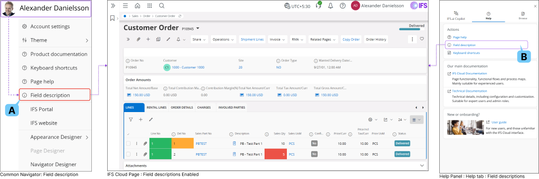 How to Access Field Descriptions