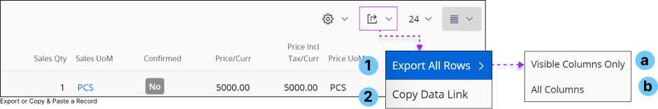 Export Copy Record
