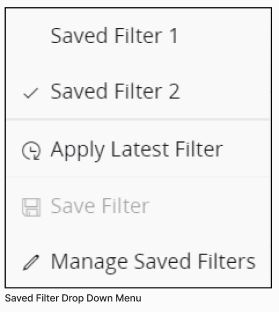 Saved Filter Window