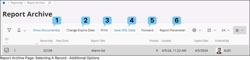 Report Archive Page: Selecting a Record : Additional Options 