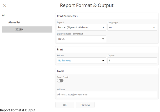Report Format & Output