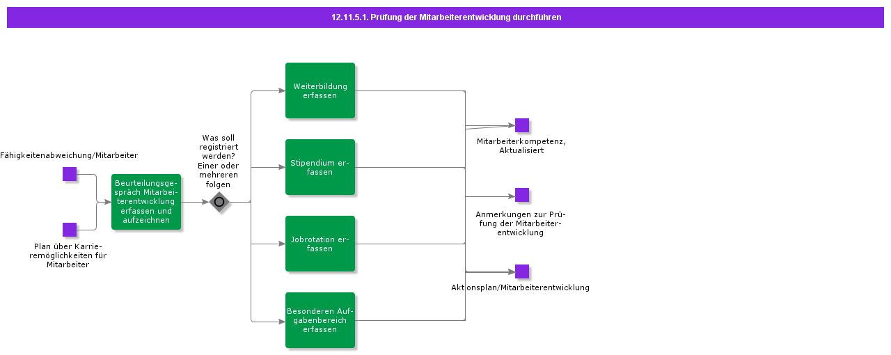 ExecuteEmployeeDevelopmentReview