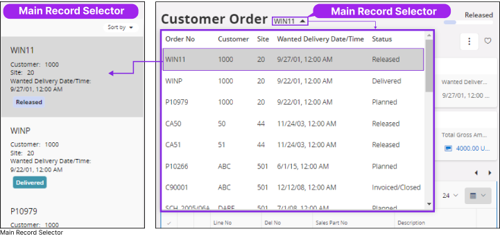 Main Record Selector