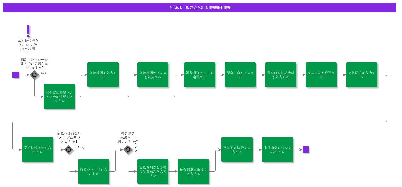 BDRGeneralMixedPaymentInformation
