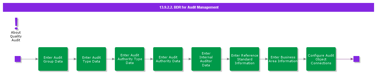 BDRforAuditManagement