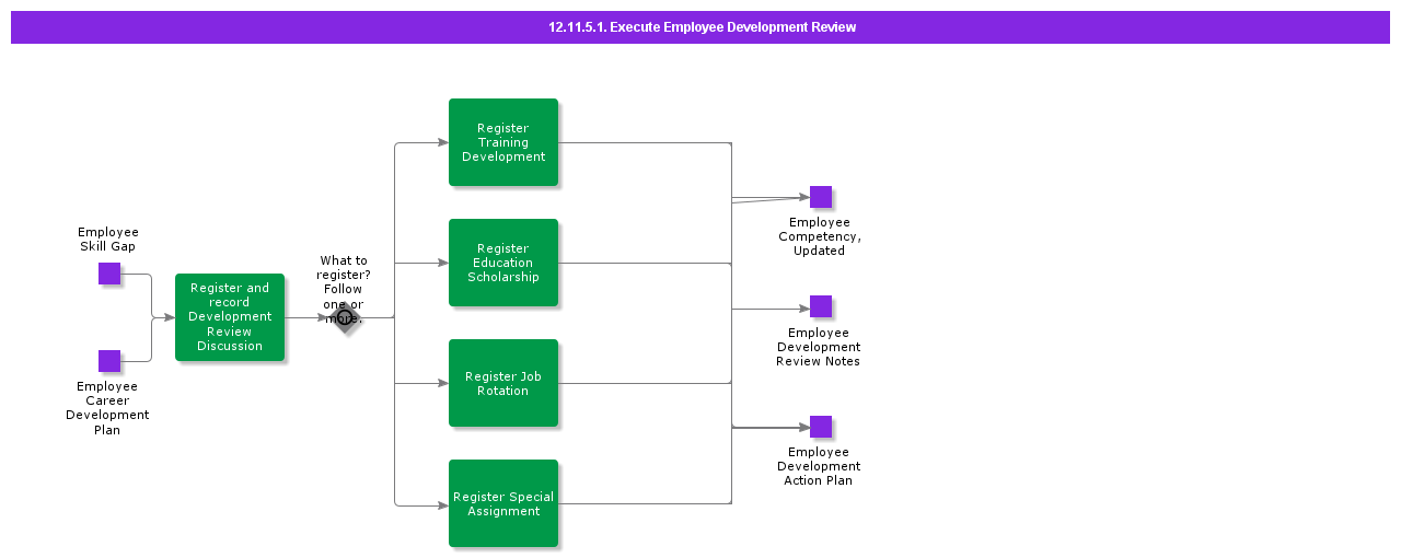 ExecuteEmployeeDevelopmentReview