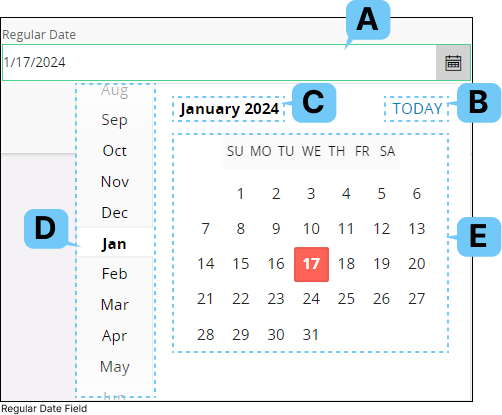 Regular Date Time Field
