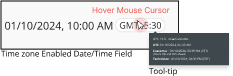 Time Zone - Tool Tip