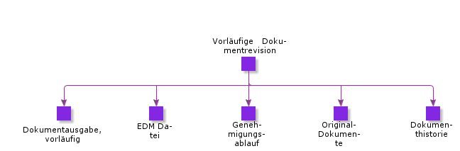 PreliminaryDocumentRevision