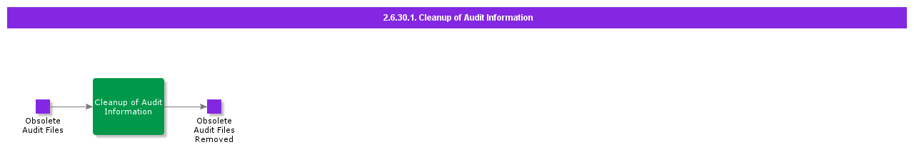 CleanupofAuditInformation