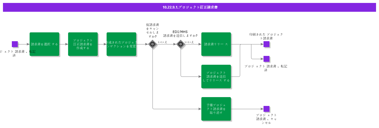 ProjectCorrectionInvoice