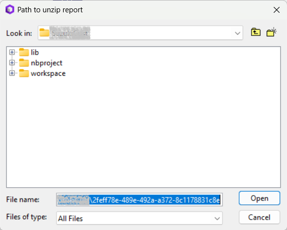 Panel to specify the path for unzipping the report file