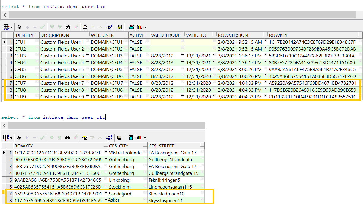 Migrate data into Custom Fields - Technical Documentation For IFS Cloud